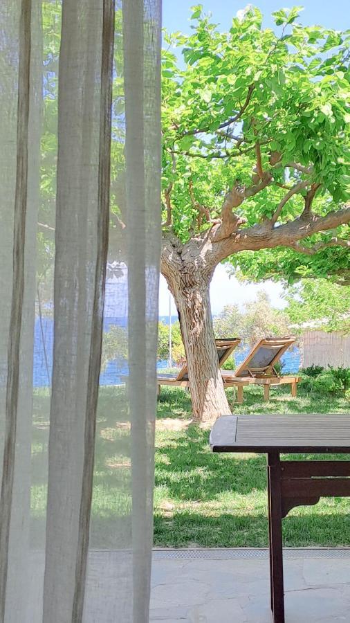 Nama Beach House Arkadiko Chorio Zewnętrze zdjęcie