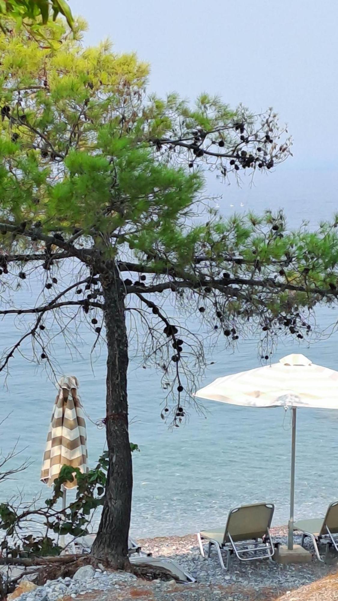 Nama Beach House Arkadiko Chorio Zewnętrze zdjęcie