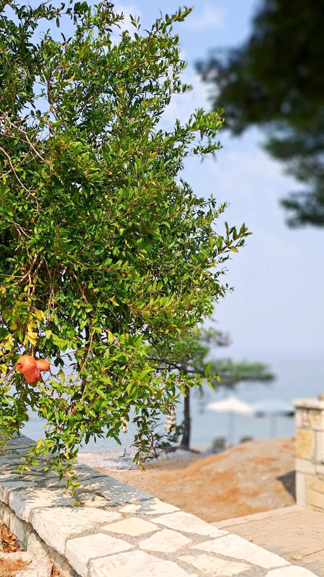 Nama Beach House Arkadiko Chorio Zewnętrze zdjęcie